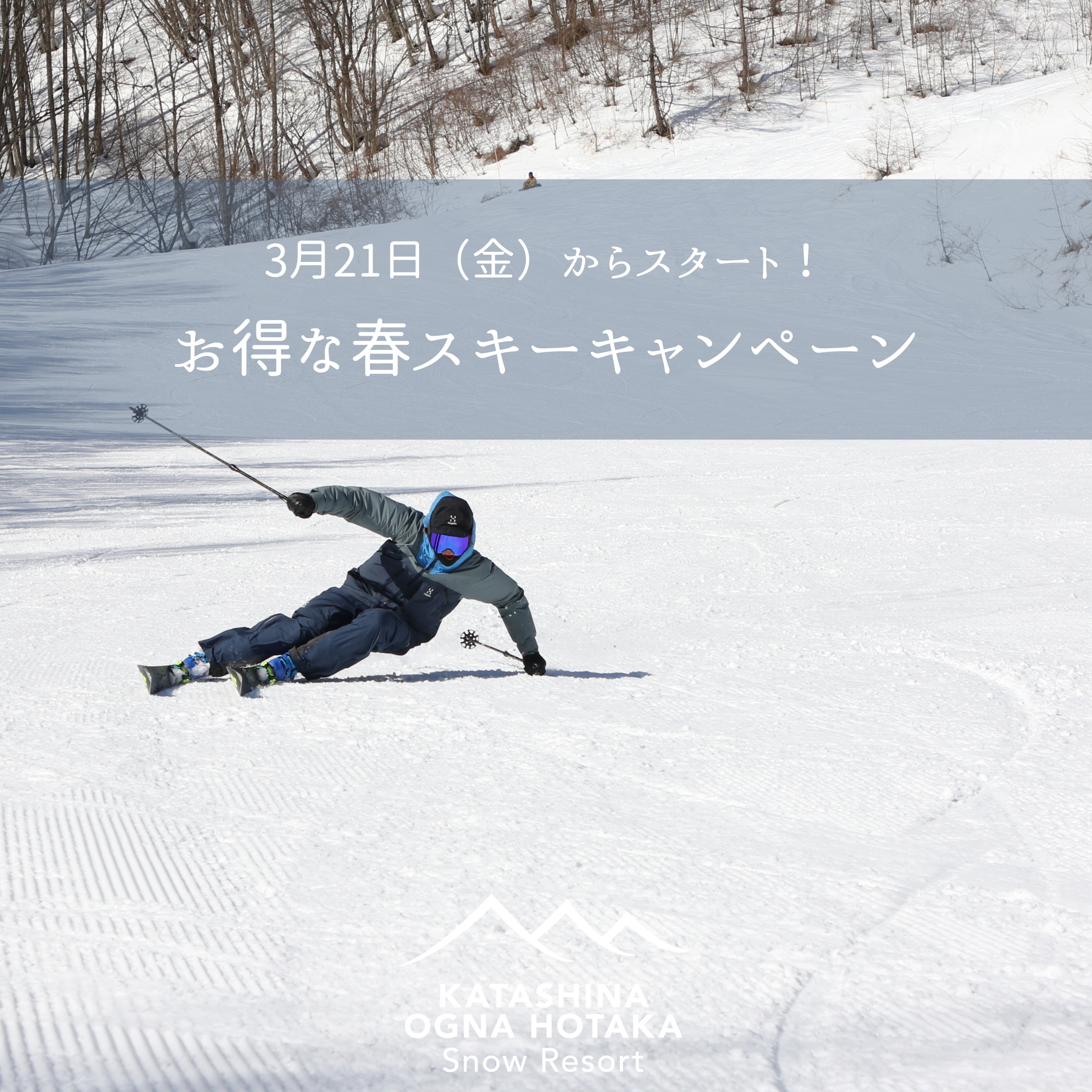 3月21日から春スキーキャンペーンスタート！ | オグナほたかスキー場